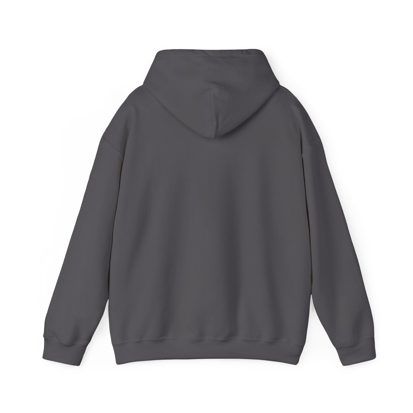Equal Rights, Equal Fights Heavy Blend™ Hooded Sweatshirt