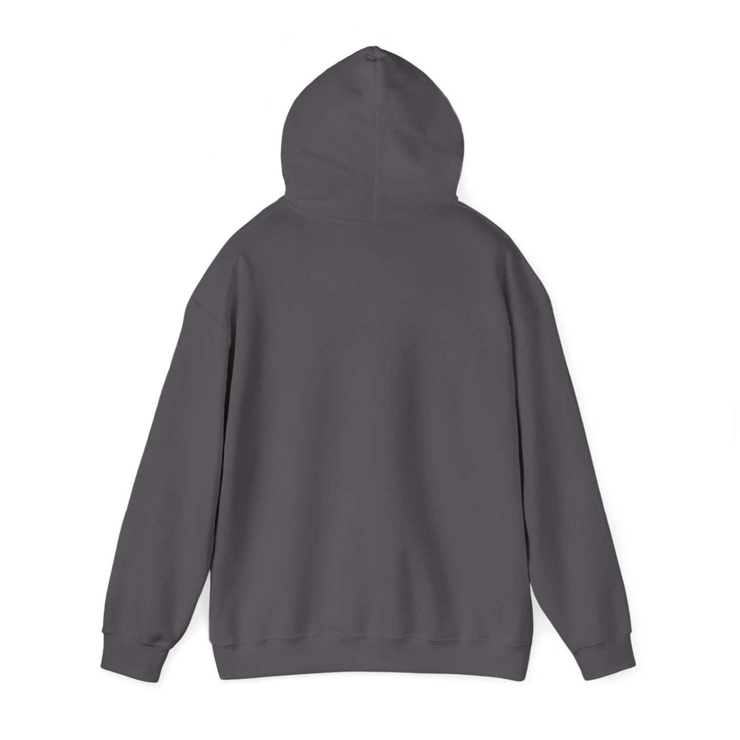 Equal Rights, Equal Fights Heavy Blend™ Hooded Sweatshirt