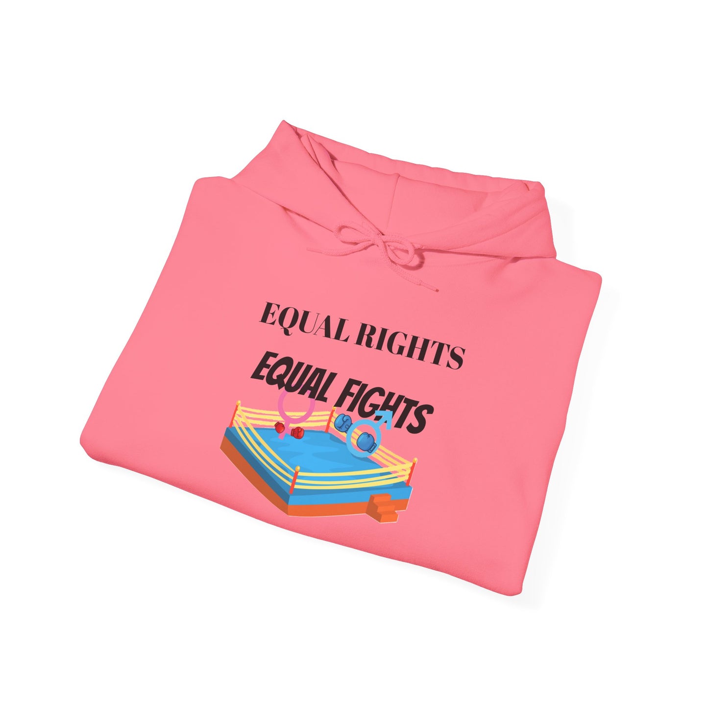 Equal Rights, Equal Fights Heavy Blend™ Hooded Sweatshirt